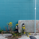 Illustration for article titled Shooting Challenge: Urban Decay 4